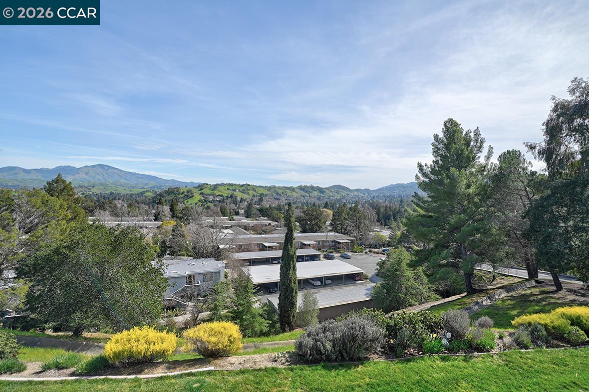 Photo #26: 41125209 Listing: Photo #26