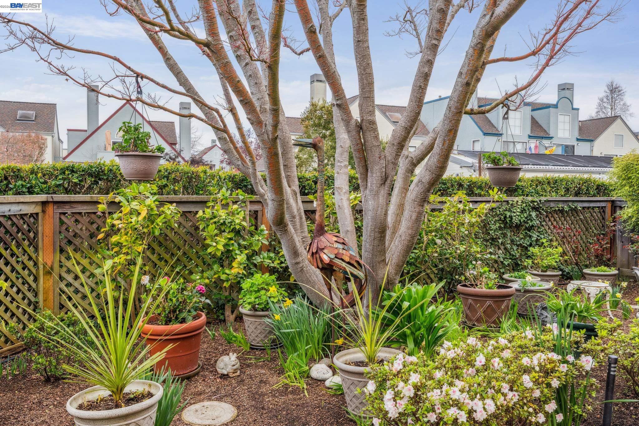 Photo #24: 41125229 Listing: Photo #24