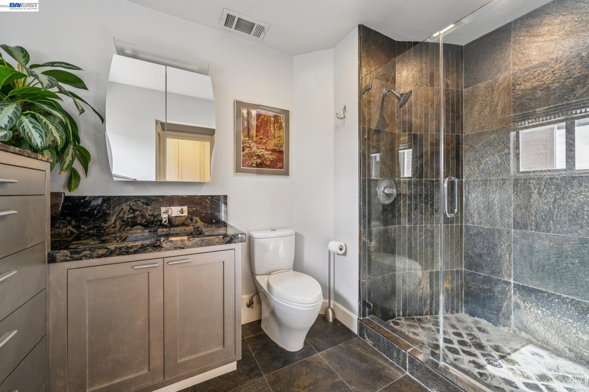 Photo #38: 41125229 Listing: Photo #38