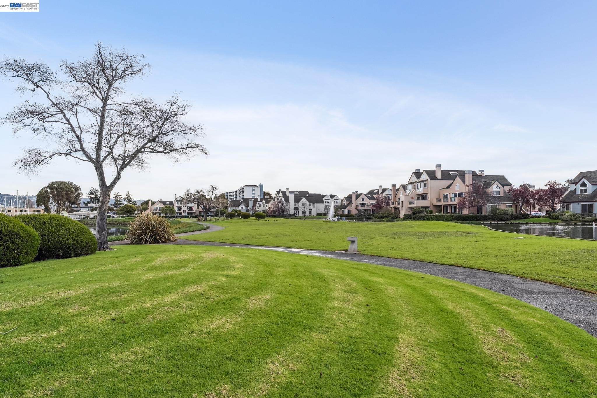 Photo #44: 41125229 Listing: Photo #44