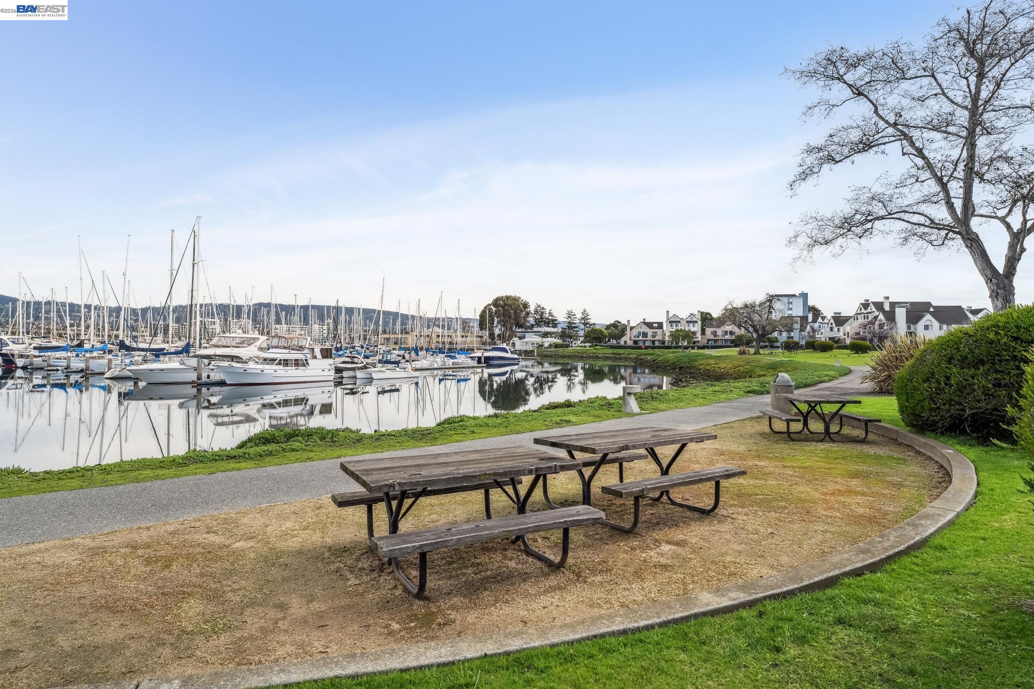 Photo #45: 41125229 Listing: Photo #45