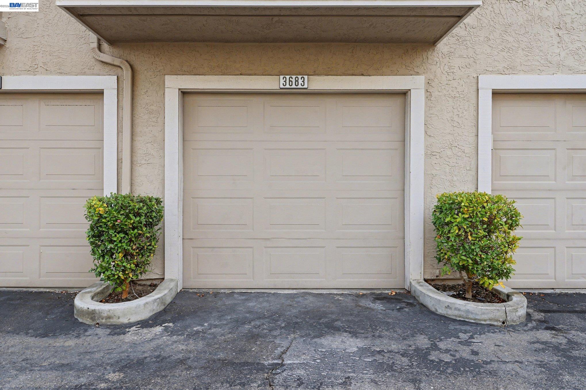 Photo #19: 41125235 Listing: Photo #19