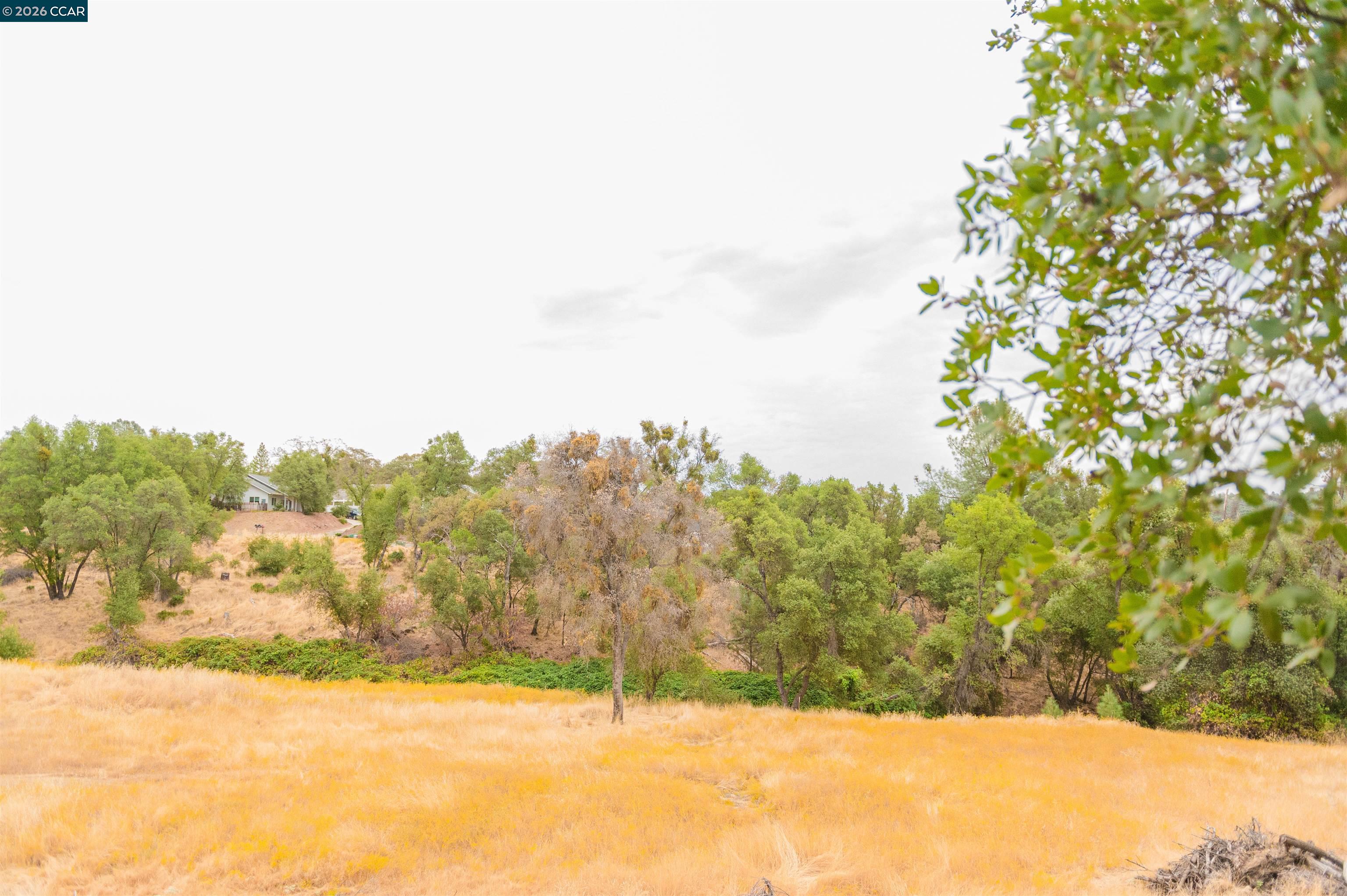 Detail Gallery Image 47 of 48 For 5138 Terrace View Ln, Mariposa,  CA 95338 - 3 Beds | 2 Baths