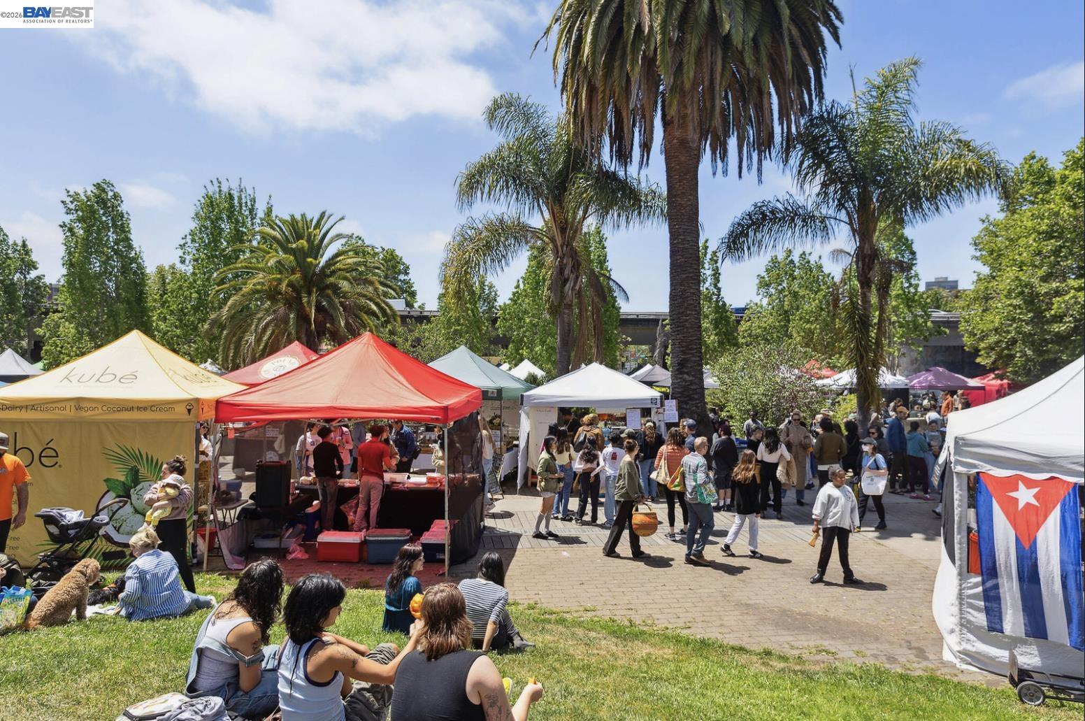 Photo #44: 41125251 Listing: Photo #44