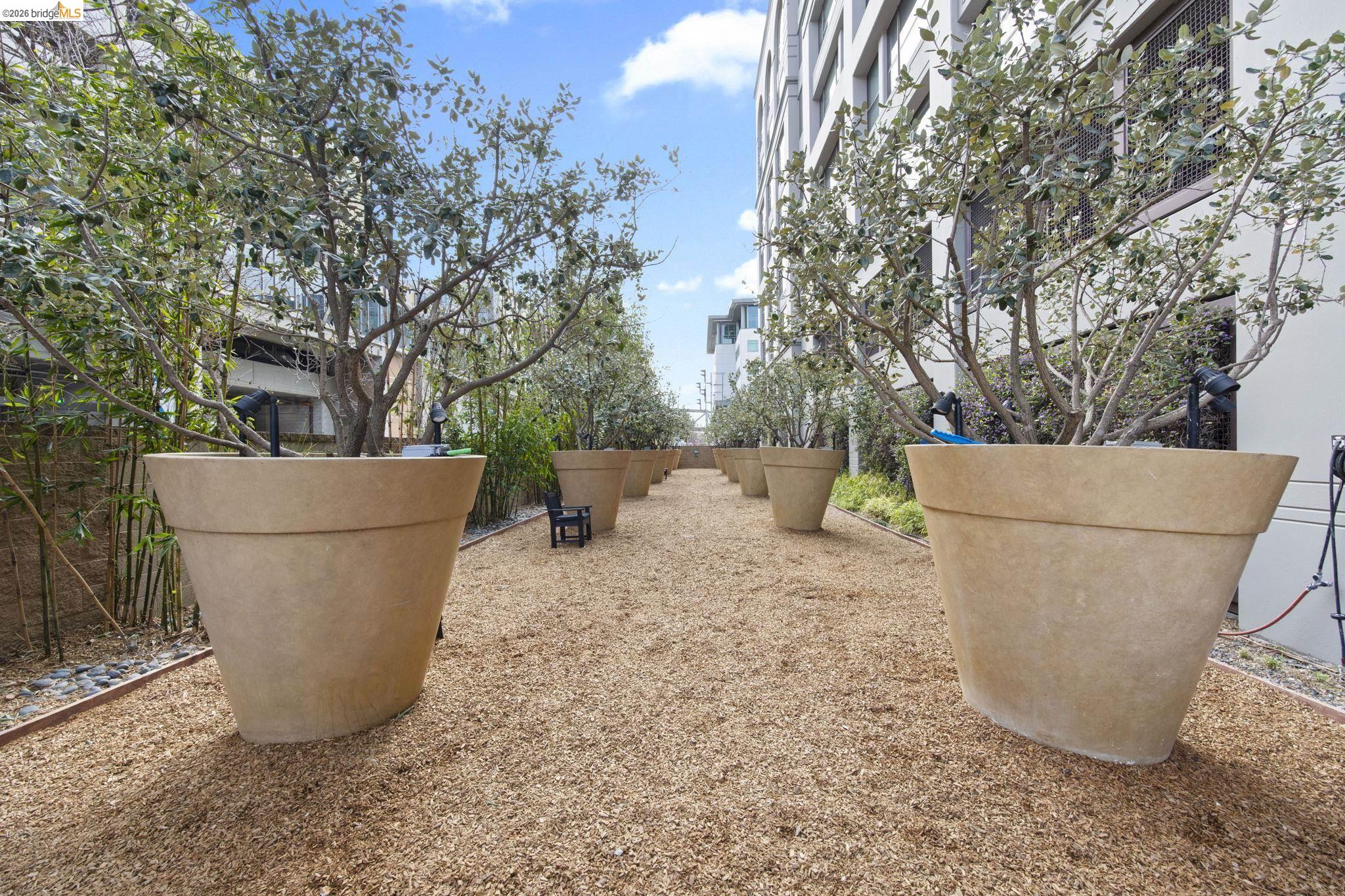 Photo #48: 41125254 Listing: Photo #48