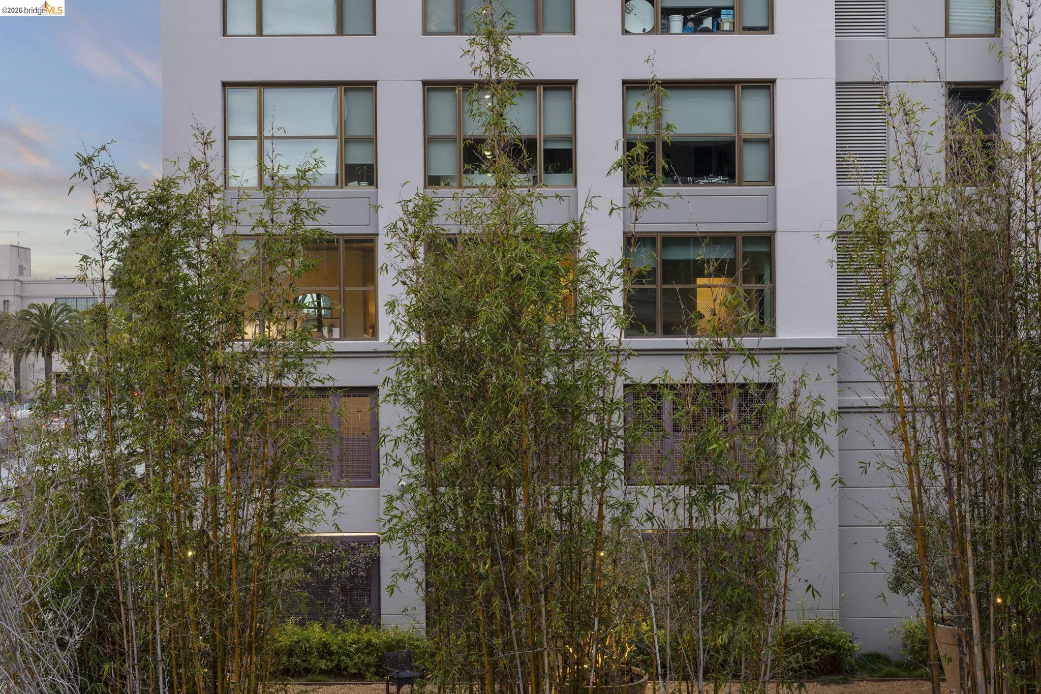 Photo #49: 41125254 Listing: Photo #49