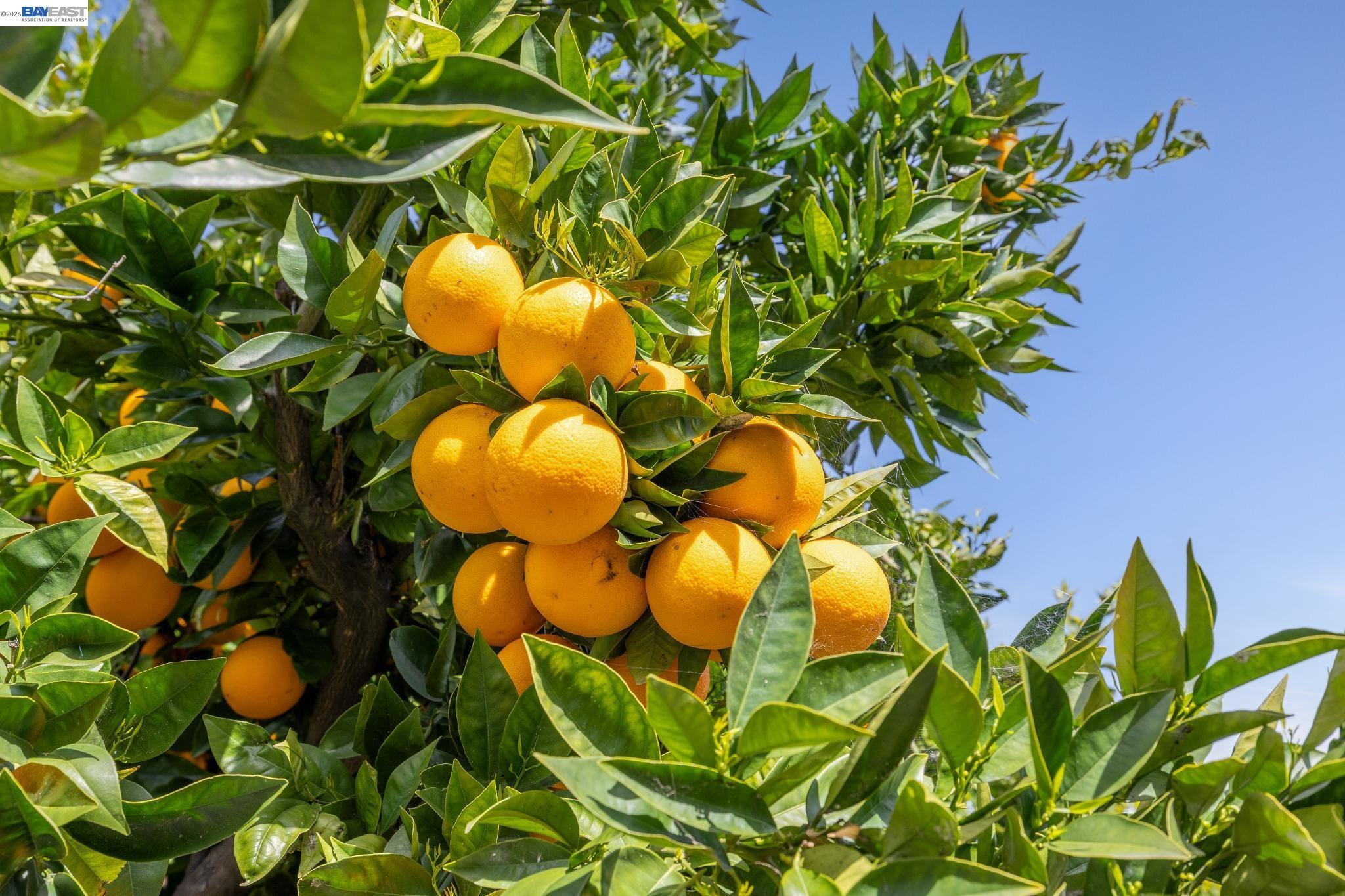 Detail Gallery Image 41 of 43 For 29341 Sandburg Way, Hayward,  CA 94544 - 3 Beds | 2 Baths