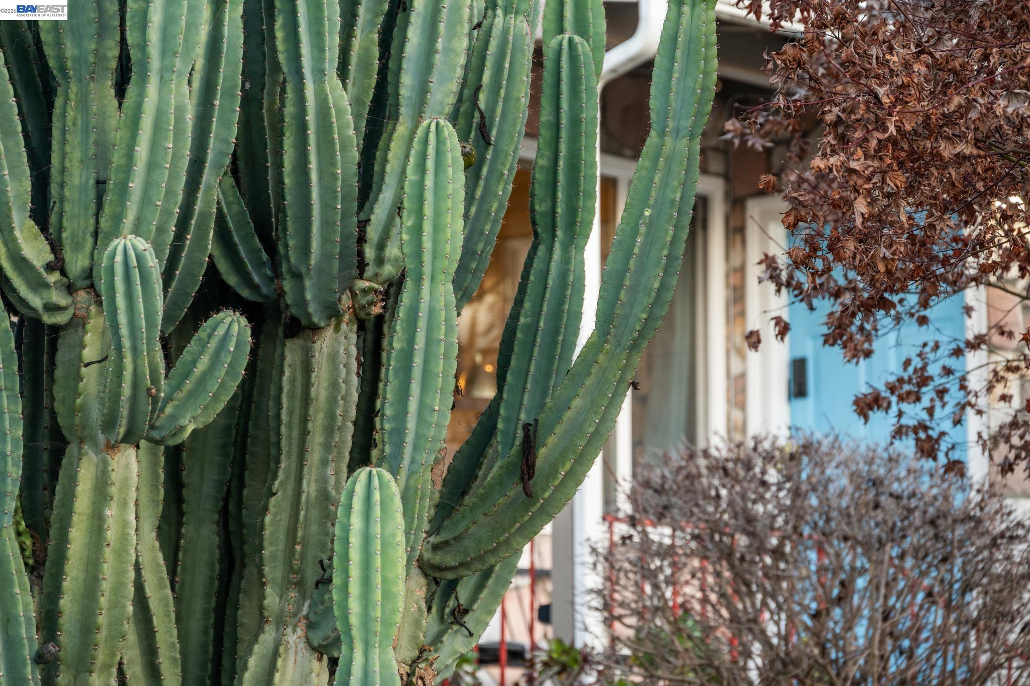 Detail Gallery Image 32 of 39 For 21330 Tyee Street, Castro Valley,  CA 94546 - 3 Beds | 2 Baths