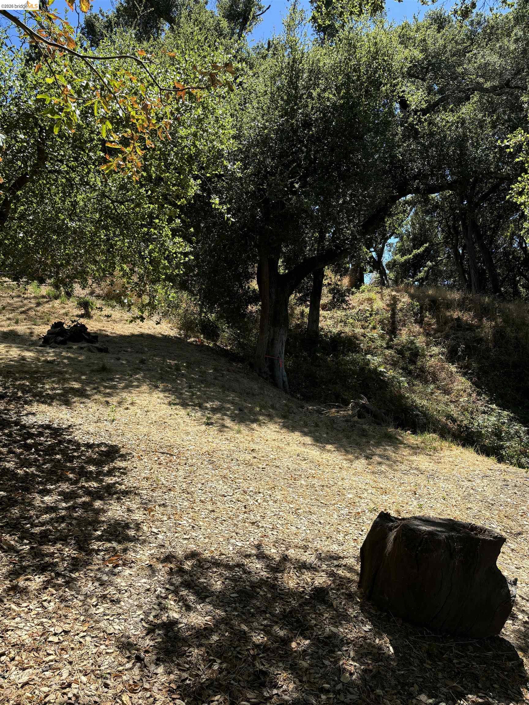 Detail Gallery Image 2 of 7 For Spring Rd, Orinda,  CA 94563 - – Beds | – Baths