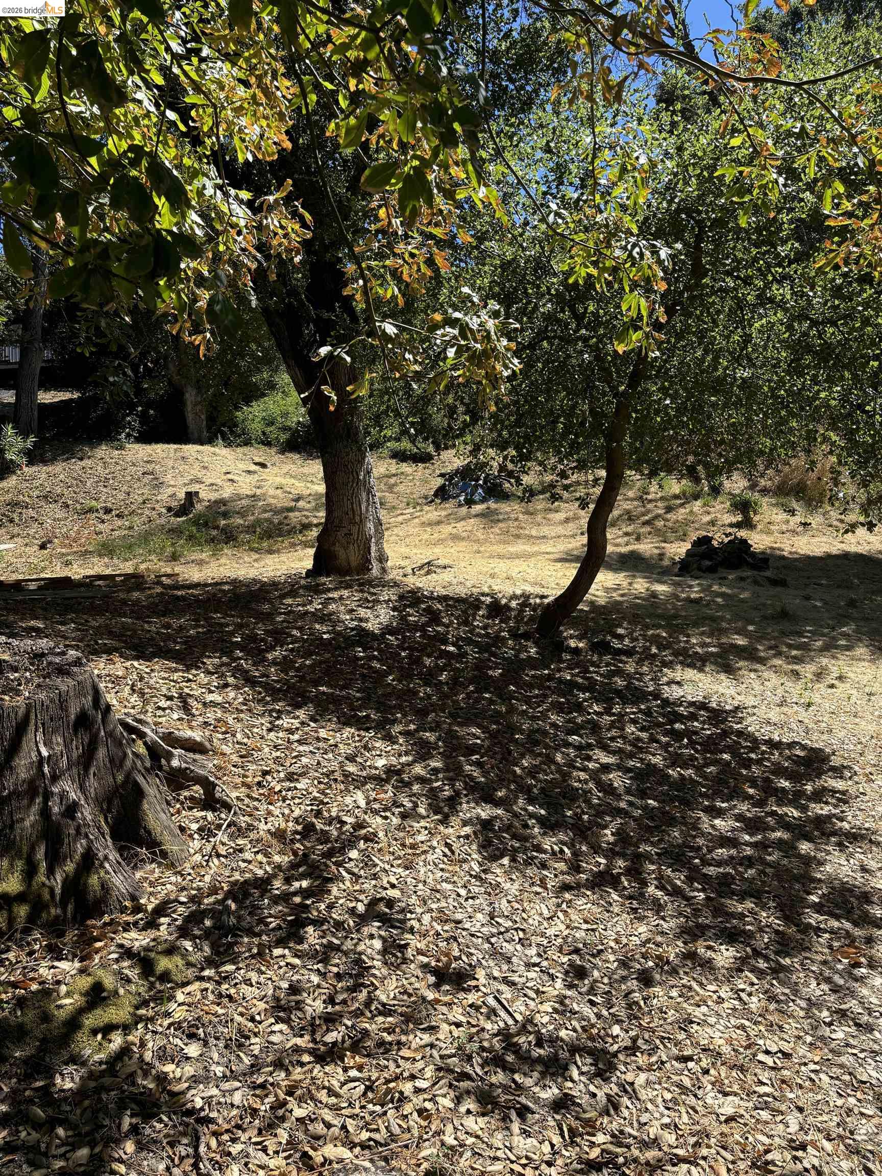 Detail Gallery Image 3 of 7 For Spring Rd, Orinda,  CA 94563 - – Beds | – Baths