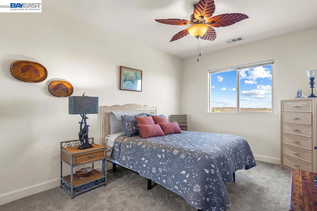 Detail Gallery Image 28 of 52 For 1105 Paradise Peak Rd, Valley Springs,  CA 95252 - 4 Beds | 2 Baths