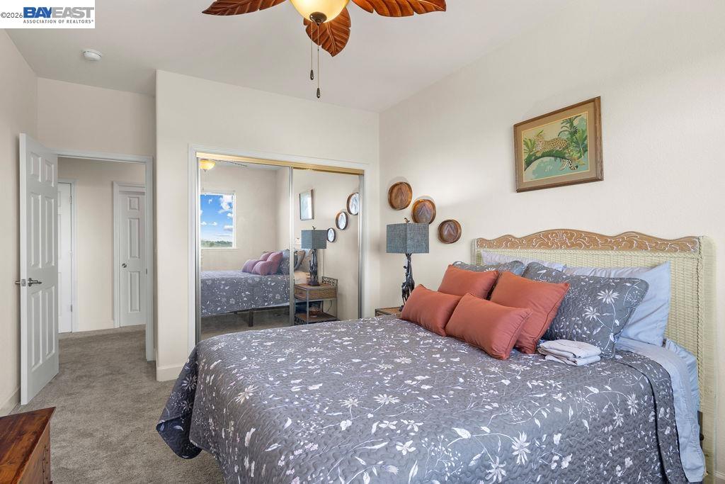 Detail Gallery Image 29 of 52 For 1105 Paradise Peak Rd, Valley Springs,  CA 95252 - 4 Beds | 2 Baths