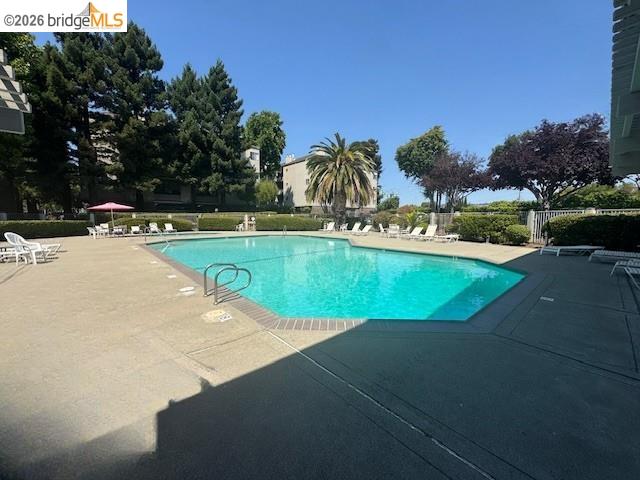 Photo #19: 41125346 Listing: Photo #19