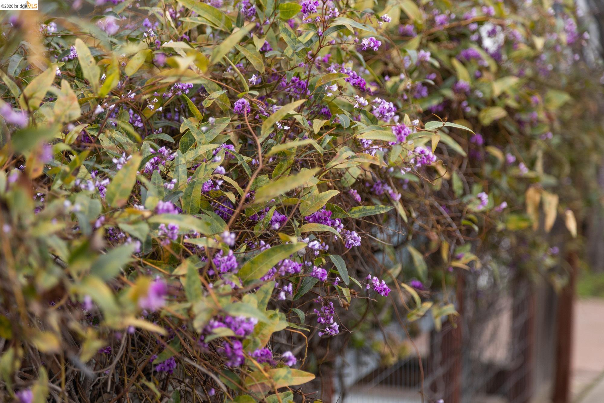 Detail Gallery Image 52 of 53 For 1261 Hearst Ave, Berkeley,  CA 94702 - 1 Beds | 1 Baths