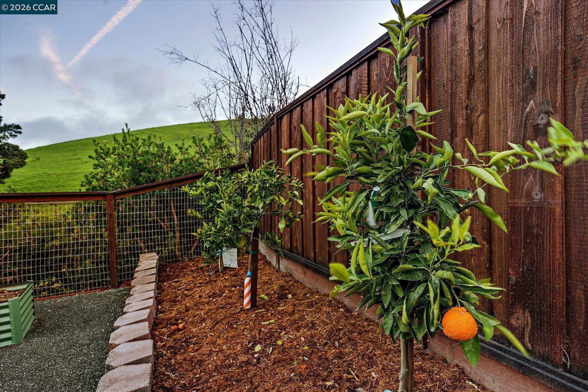 Detail Gallery Image 54 of 60 For 11205 Creekside Ct, Dublin,  CA 94568 - 4 Beds | 3 Baths