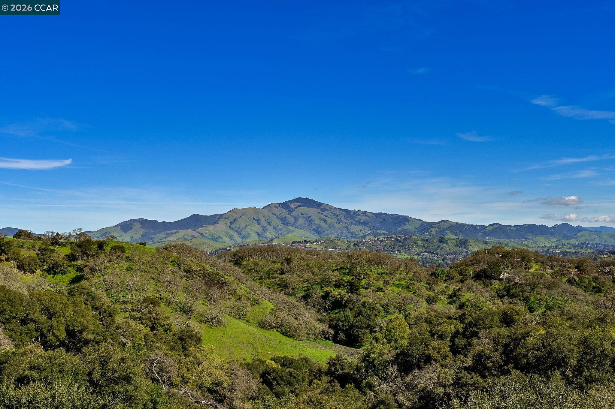 Photo #33: 41125385 Listing: Photo #33