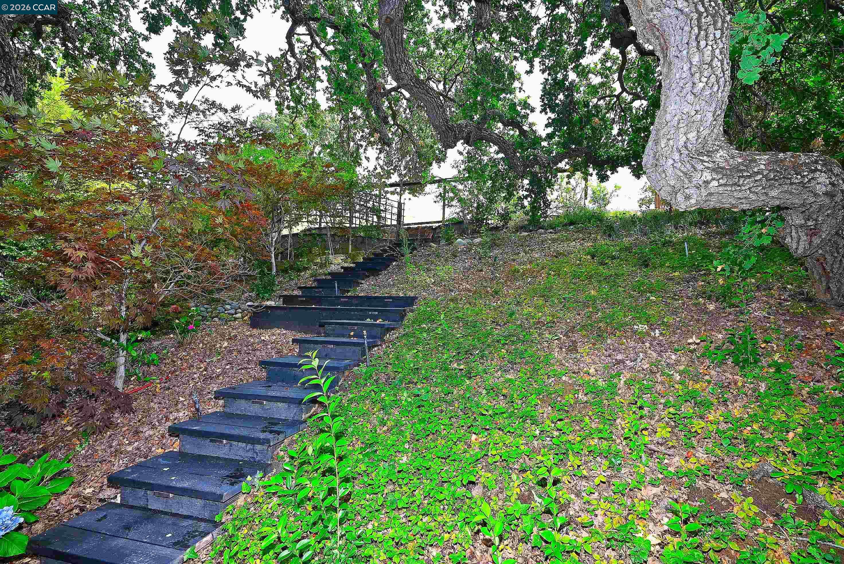 Detail Gallery Image 42 of 60 For 1239 Sunrise Ridge Dr, Lafayette,  CA 94549 - 6 Beds | 3/1 Baths