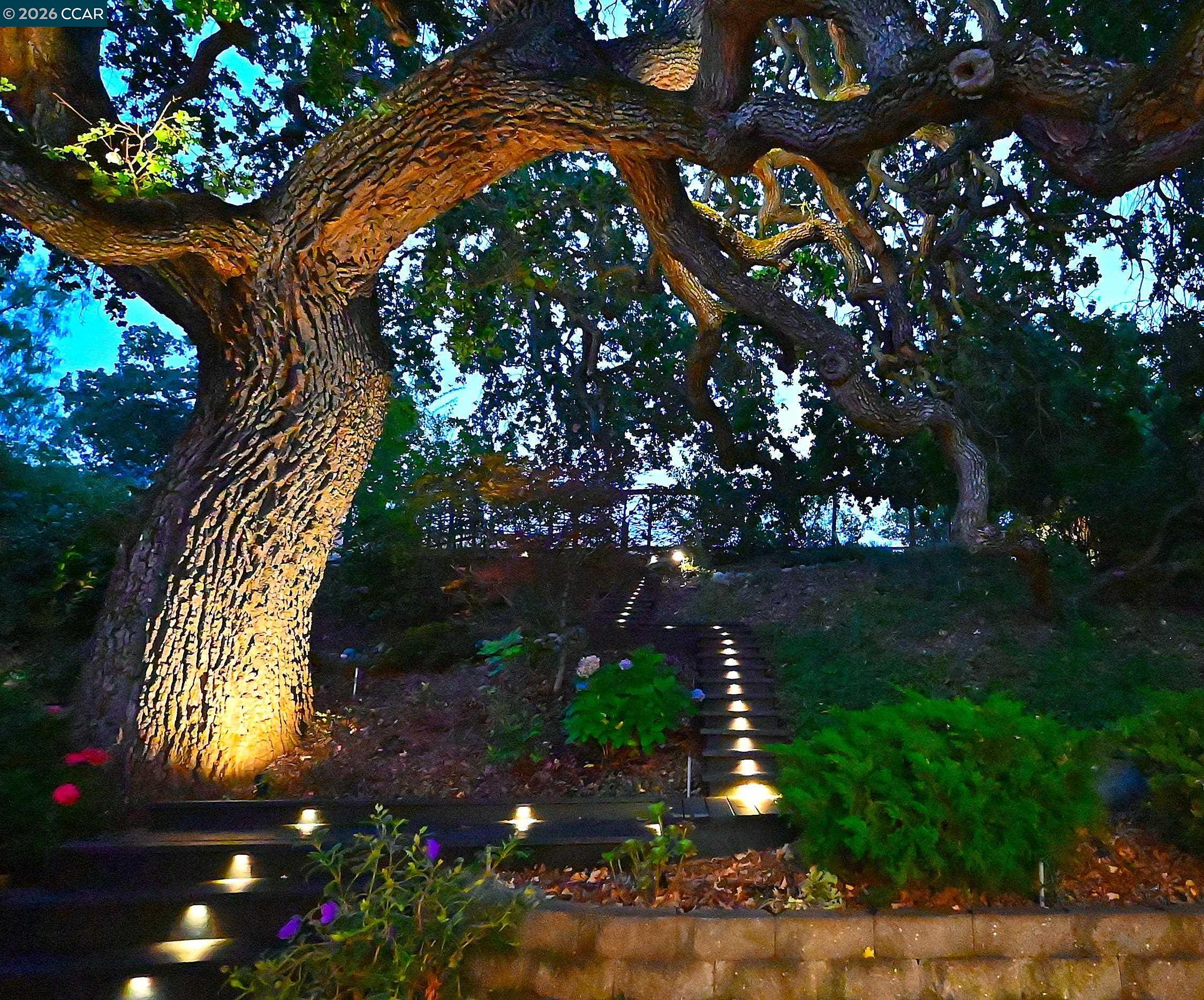 Detail Gallery Image 60 of 60 For 1239 Sunrise Ridge Dr, Lafayette,  CA 94549 - 6 Beds | 3/1 Baths