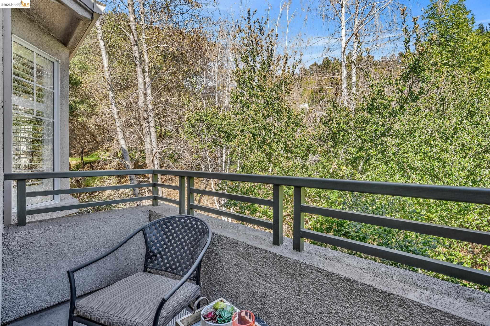 Photo #25: 41125400 Listing: Photo #25