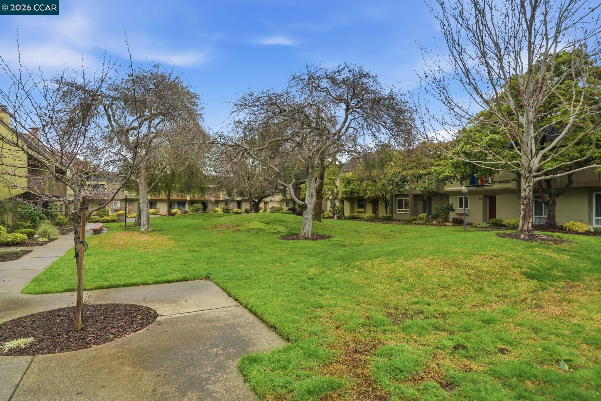 Photo #47: 41125418 Listing: Photo #47