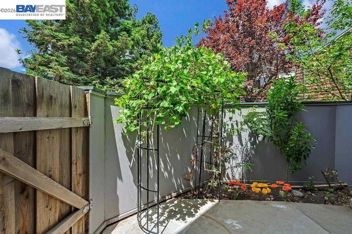 Photo #8: 41125429 Listing: Photo #8