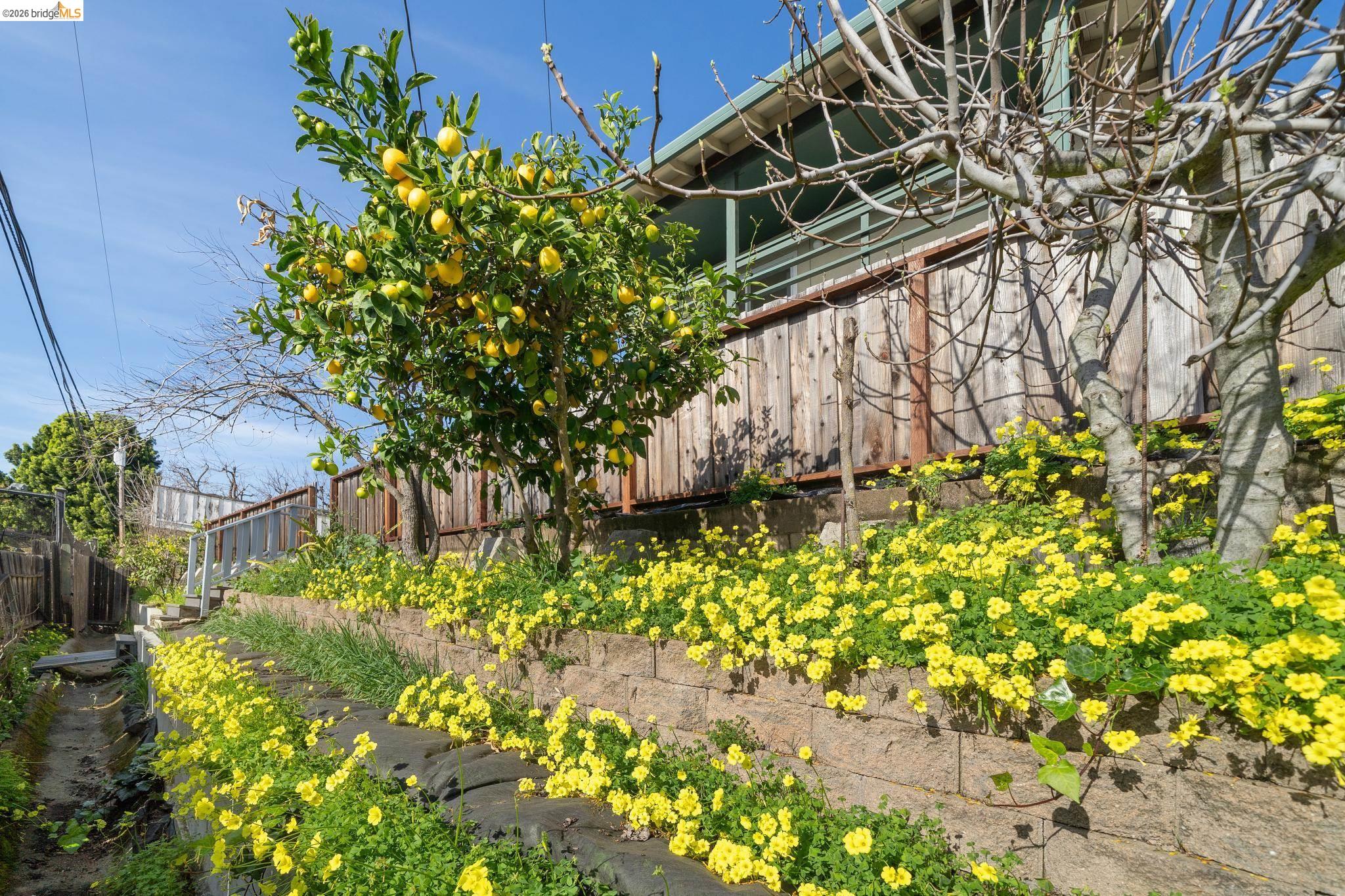 Detail Gallery Image 42 of 43 For 30229 Treeview St, Hayward,  CA 94544 - 5 Beds | 3 Baths