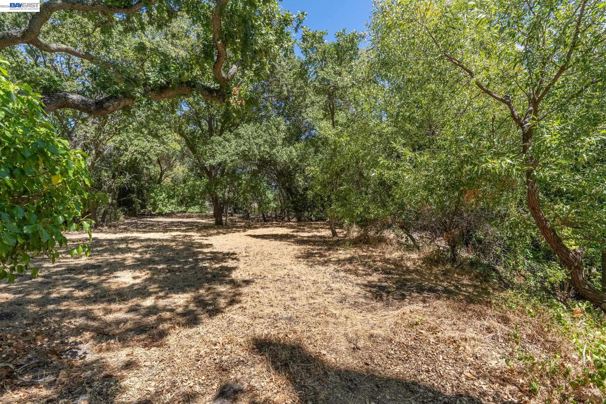 Detail Gallery Image 45 of 54 For 131 Montecito Crescent, Walnut Creek,  CA 94597 - 6 Beds | 5 Baths