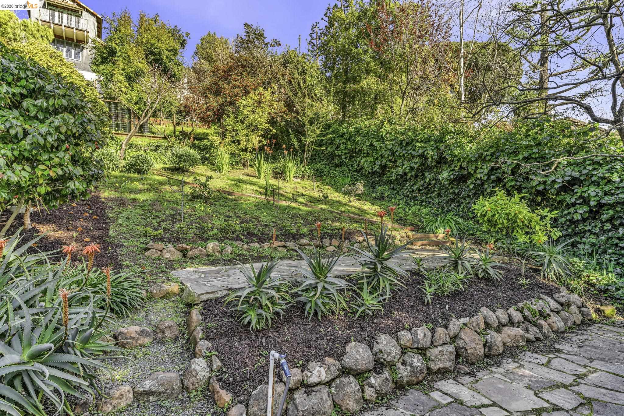 Detail Gallery Image 53 of 60 For 641 Alvarado Rd, Berkeley,  CA 94705 - 5 Beds | 3/1 Baths