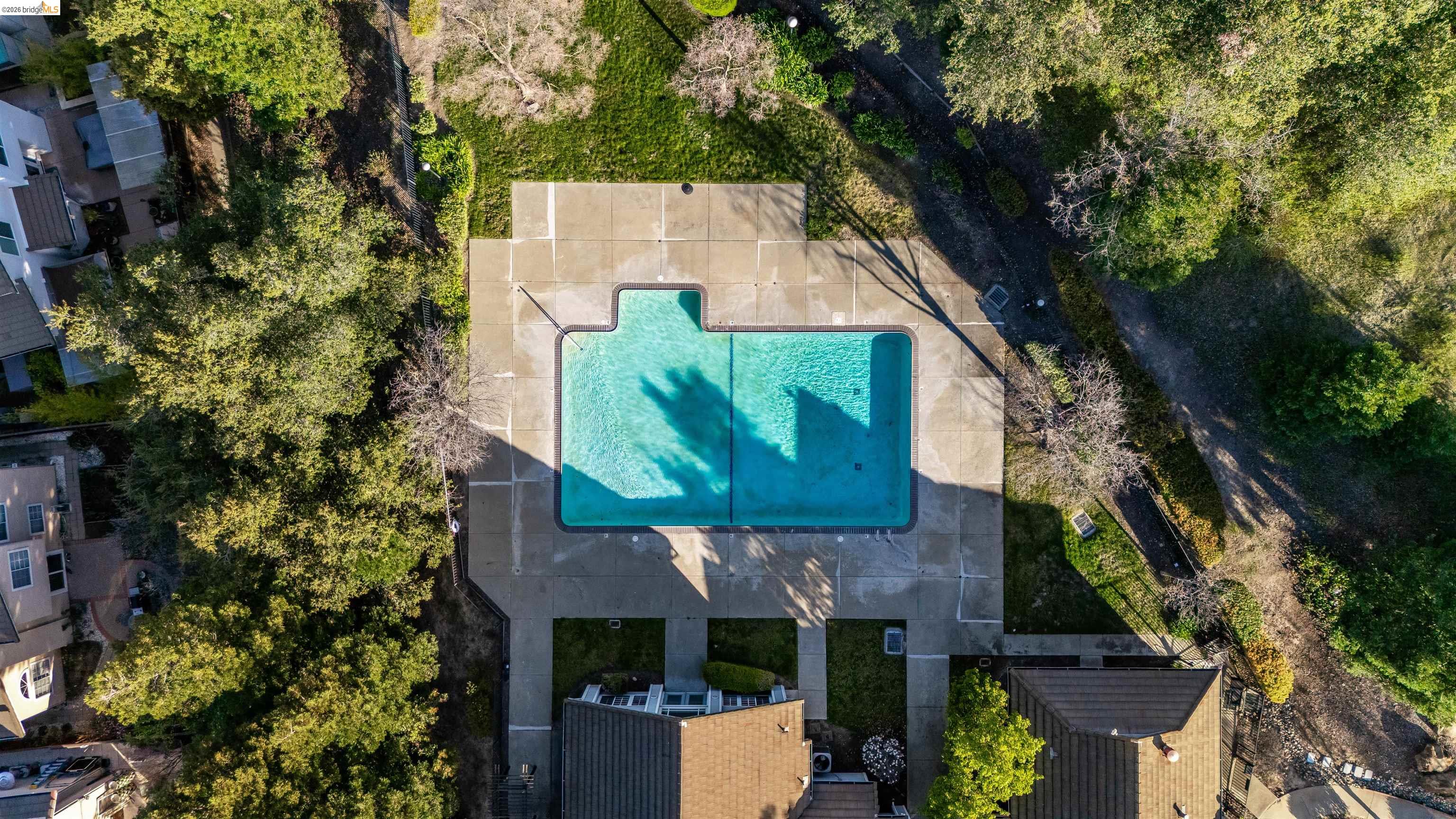 Photo #36: 41125465 Listing: Photo #36