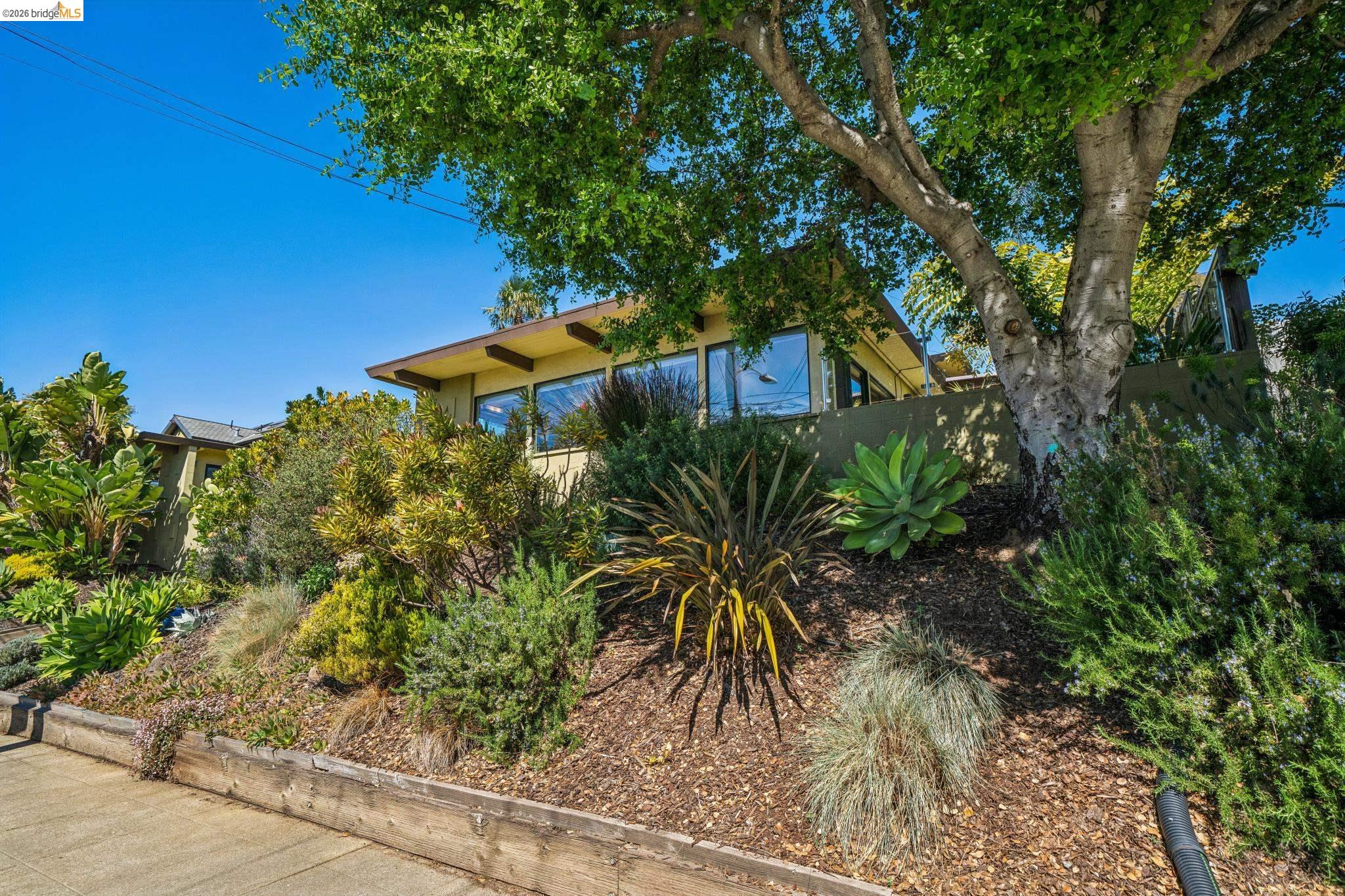 Photo #37: 41125481 Listing: Photo #37