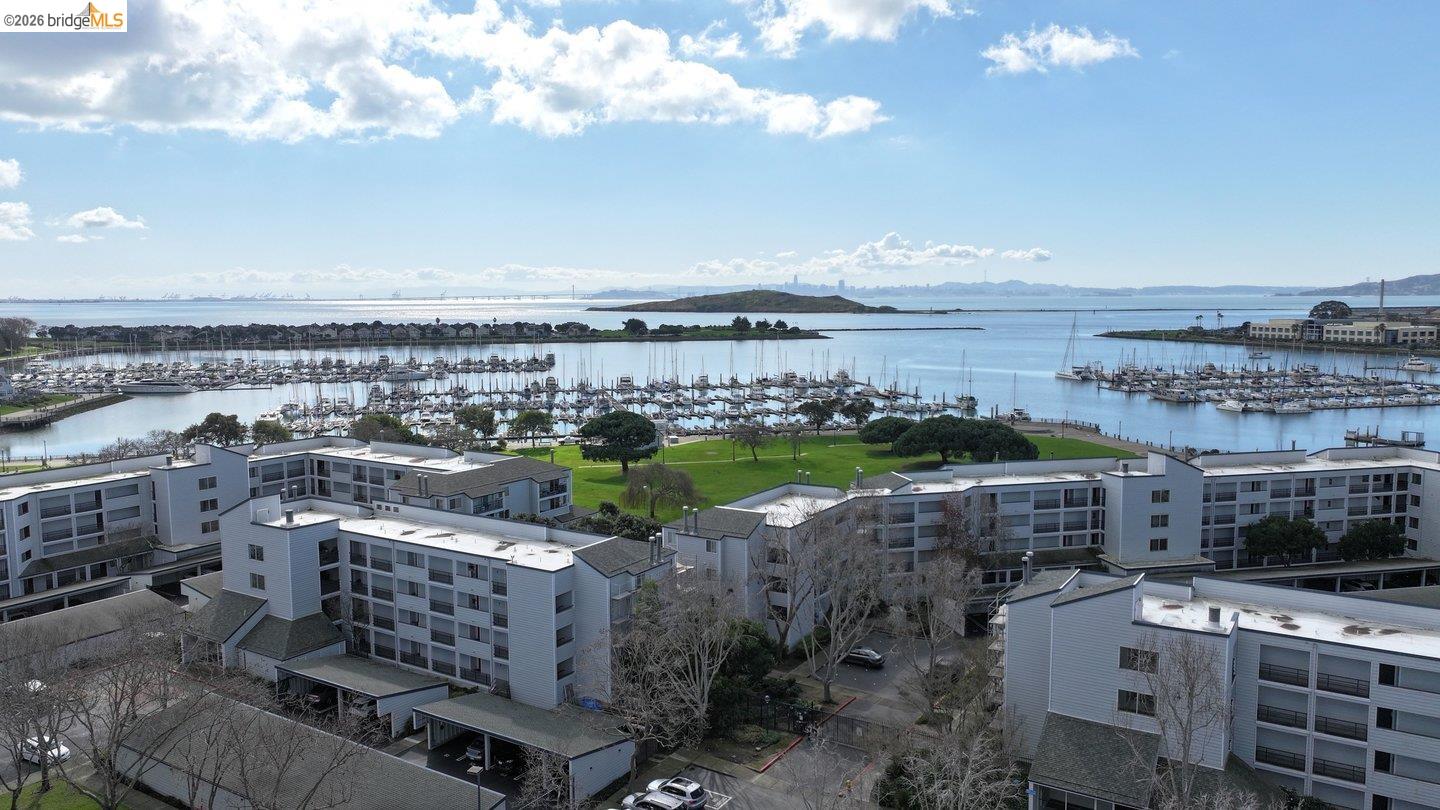 Photo #39: 41125507 Listing: Photo #39