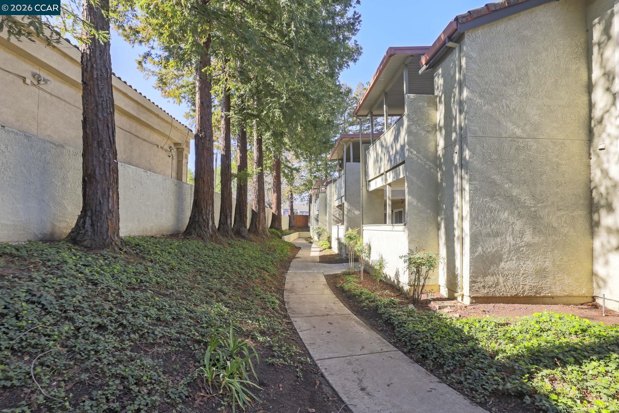 Photo #24: 41125512 Listing: Photo #24