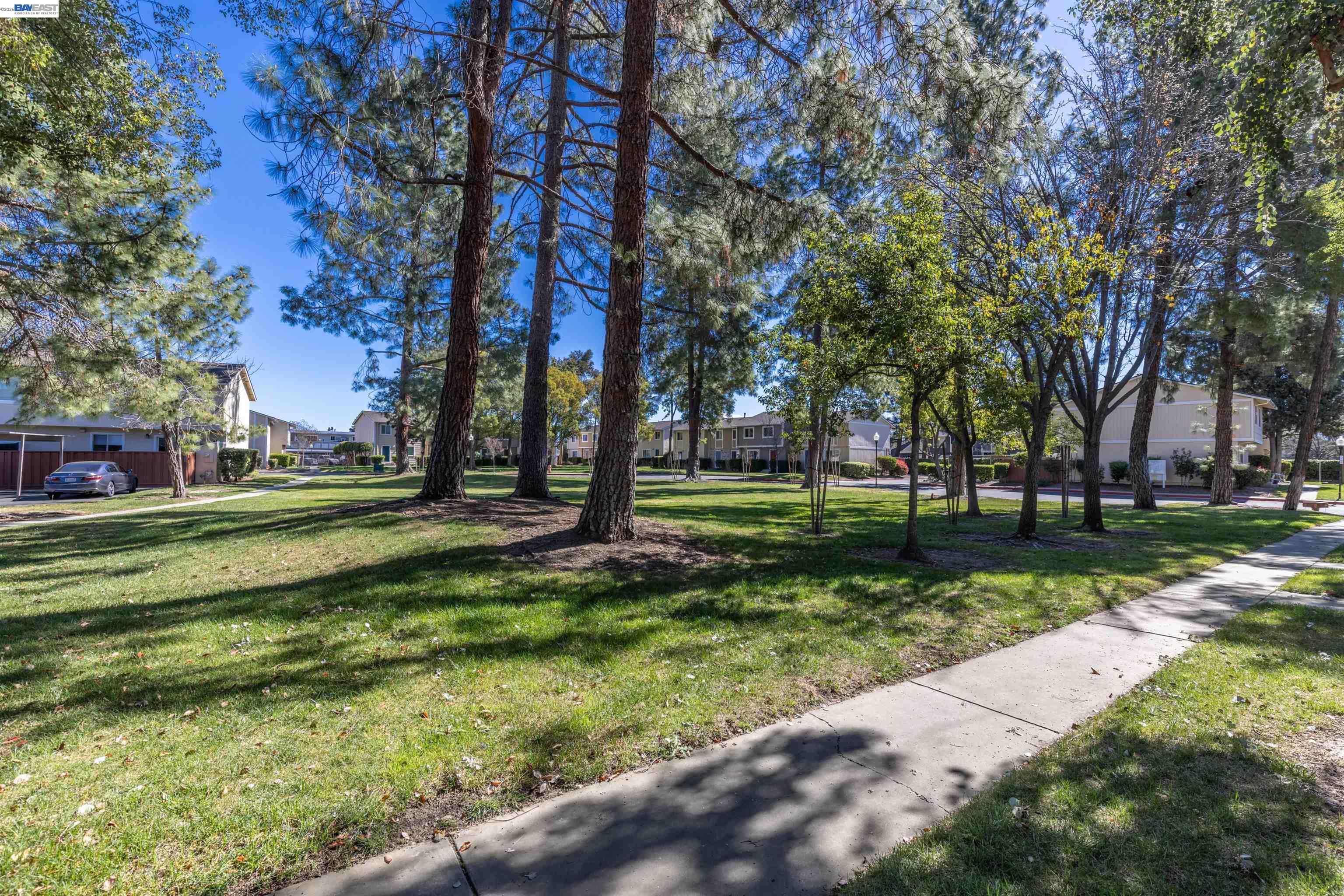 Photo #23: 41125517 Listing: Photo #23