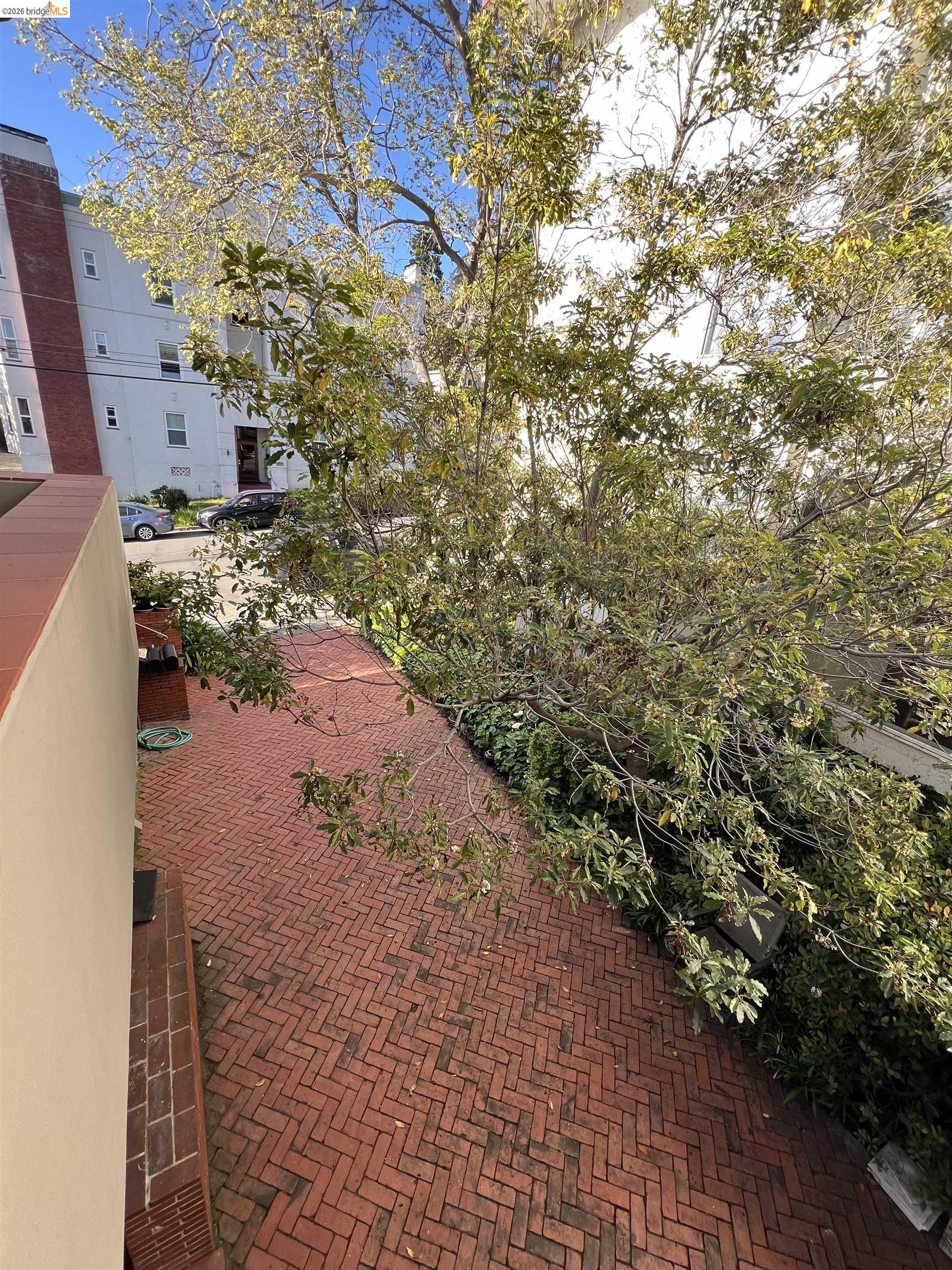 Detail Gallery Image 6 of 6 For 2554 Virginia St, Berkeley,  CA 94709 - 2 Beds | 1 Baths