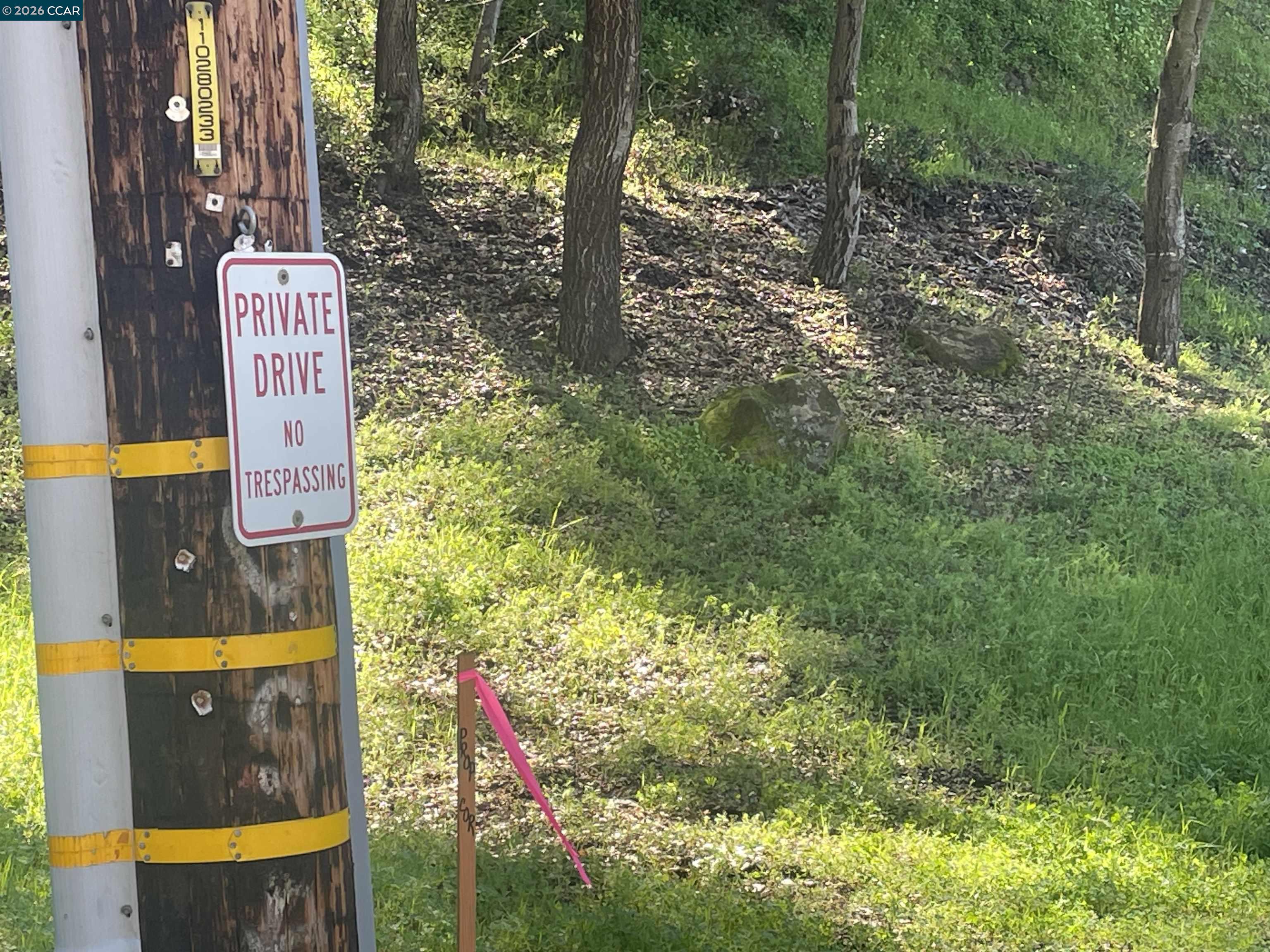 Detail Gallery Image 5 of 10 For 2965 Rohrer Dr, Lafayette,  CA 94595 - – Beds | – Baths