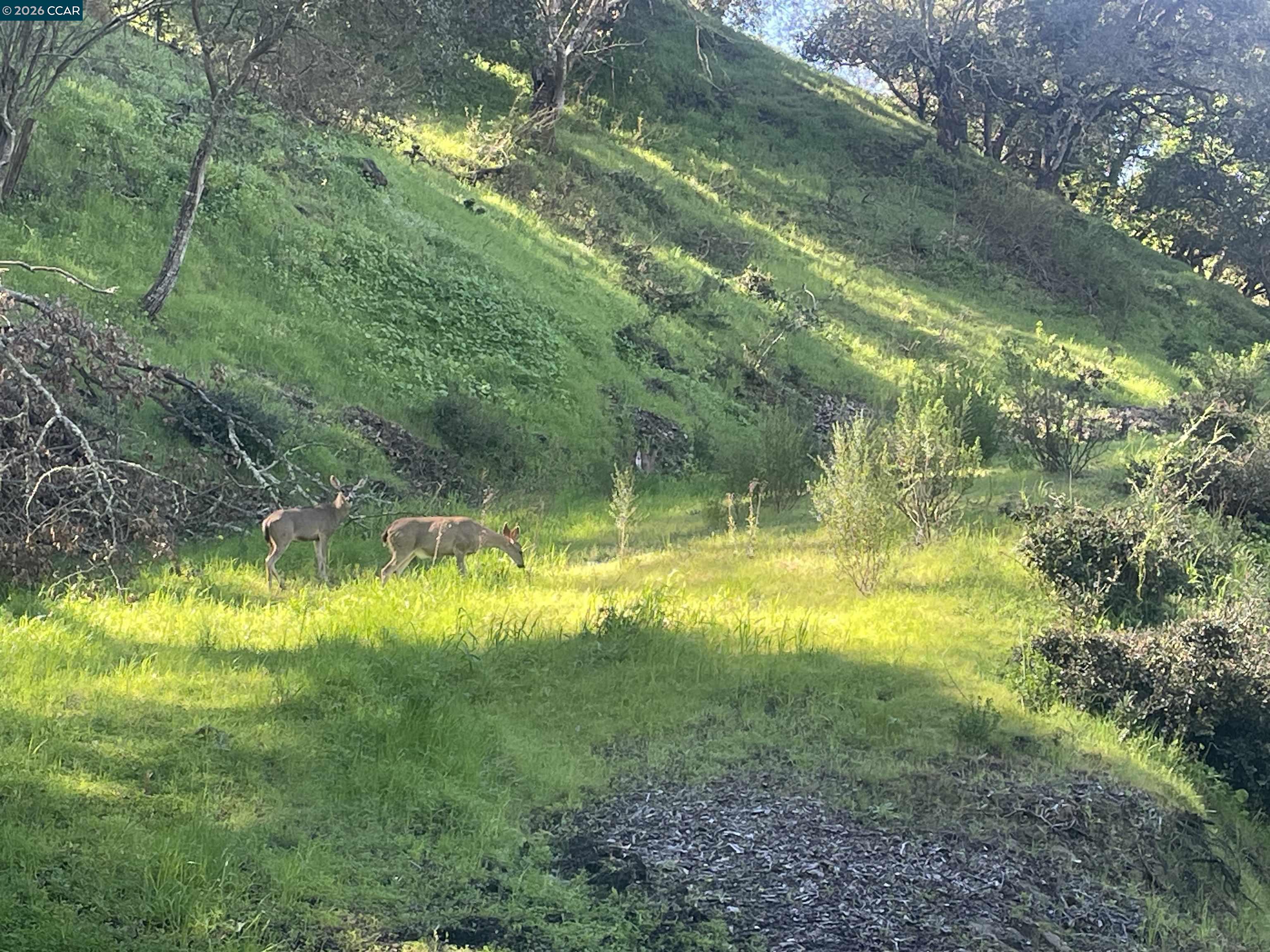 Detail Gallery Image 6 of 10 For 2965 Rohrer Dr, Lafayette,  CA 94595 - – Beds | – Baths