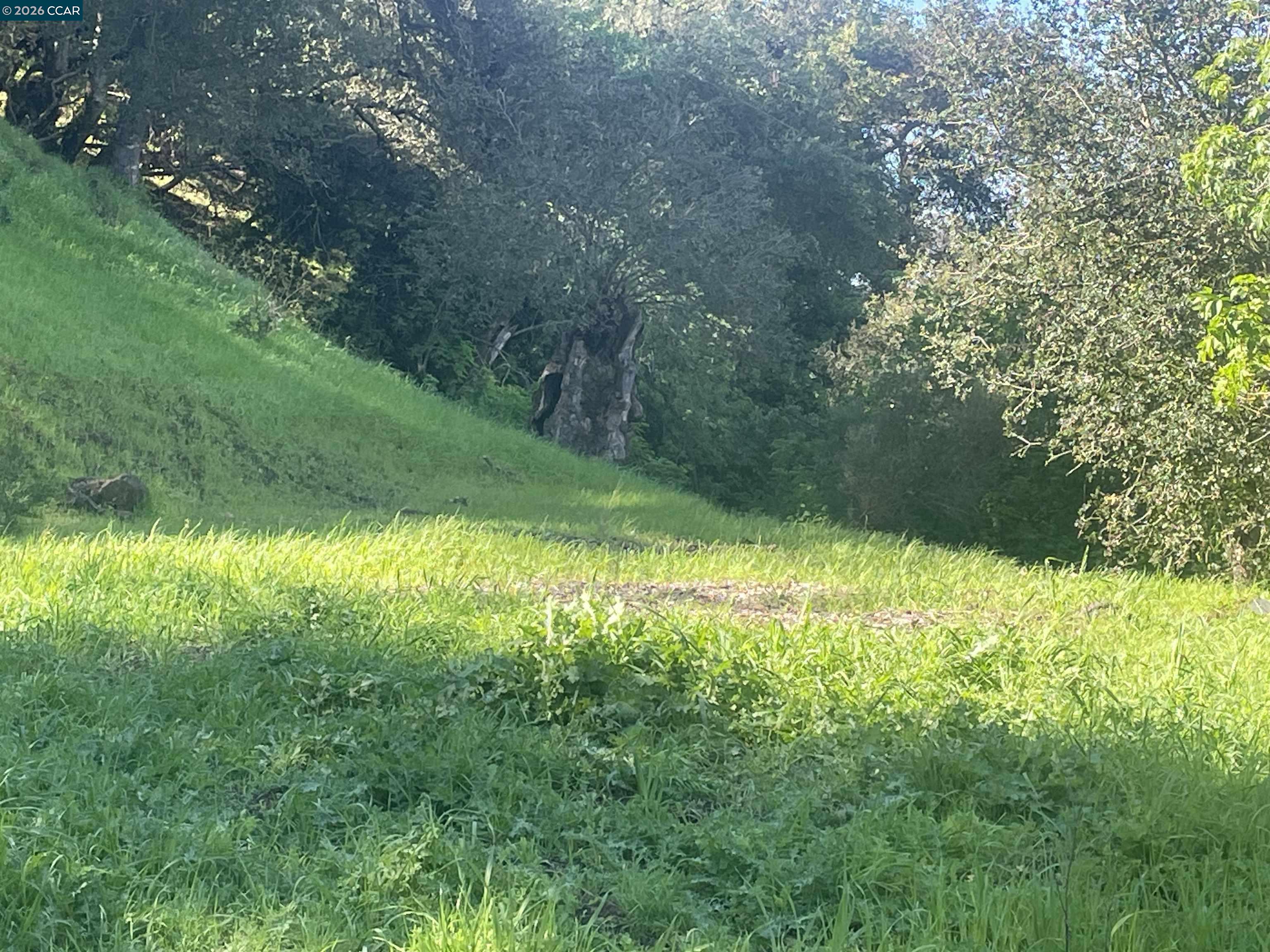 Detail Gallery Image 9 of 10 For 2965 Rohrer Dr, Lafayette,  CA 94595 - – Beds | – Baths