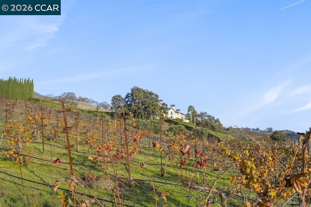 Detail Gallery Image 48 of 60 For 10 Serenity Ln, Alamo,  CA 94507 - 12 Beds | 13/3 Baths