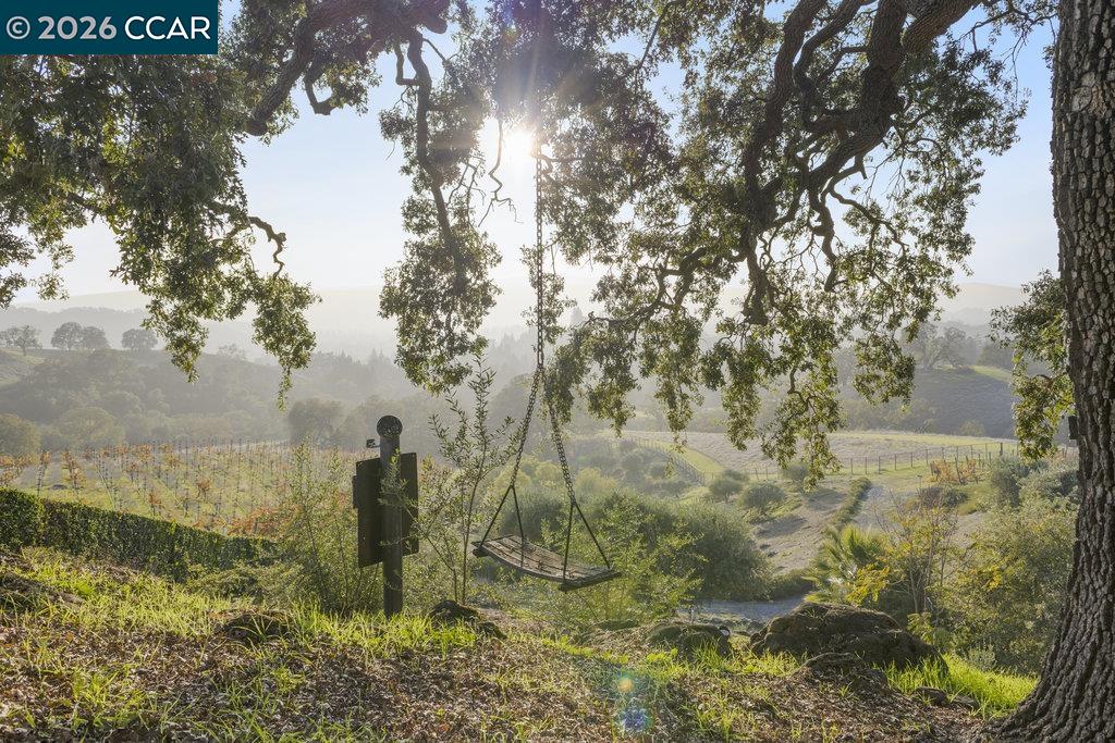 Detail Gallery Image 49 of 60 For 10 Serenity Ln, Alamo,  CA 94507 - 12 Beds | 13/3 Baths