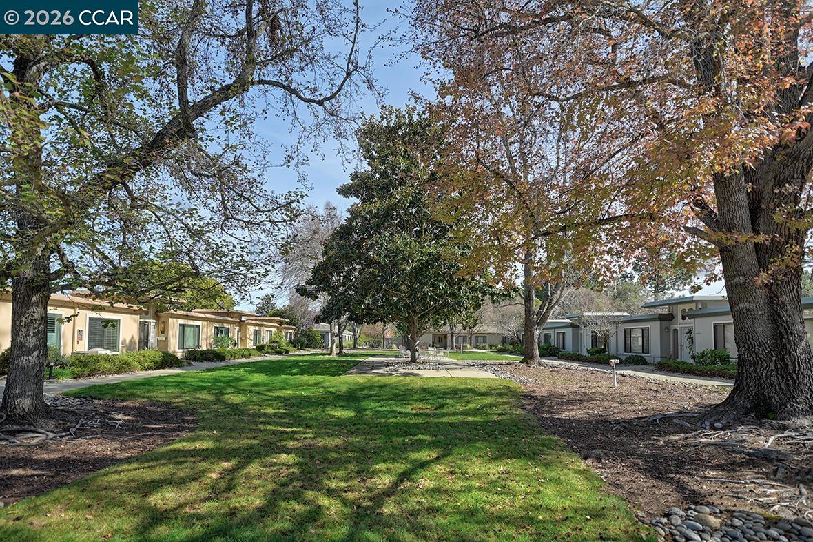 Photo #44: 41125529 Listing: Photo #44