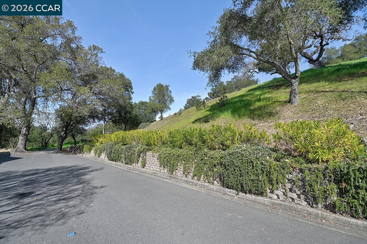 Photo #37: 41125531 Listing: Photo #37