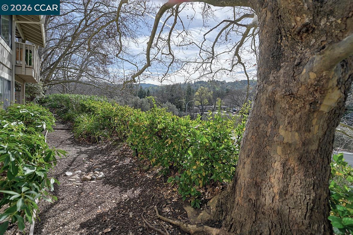 Photo #6: 41125531 Listing: Photo #6