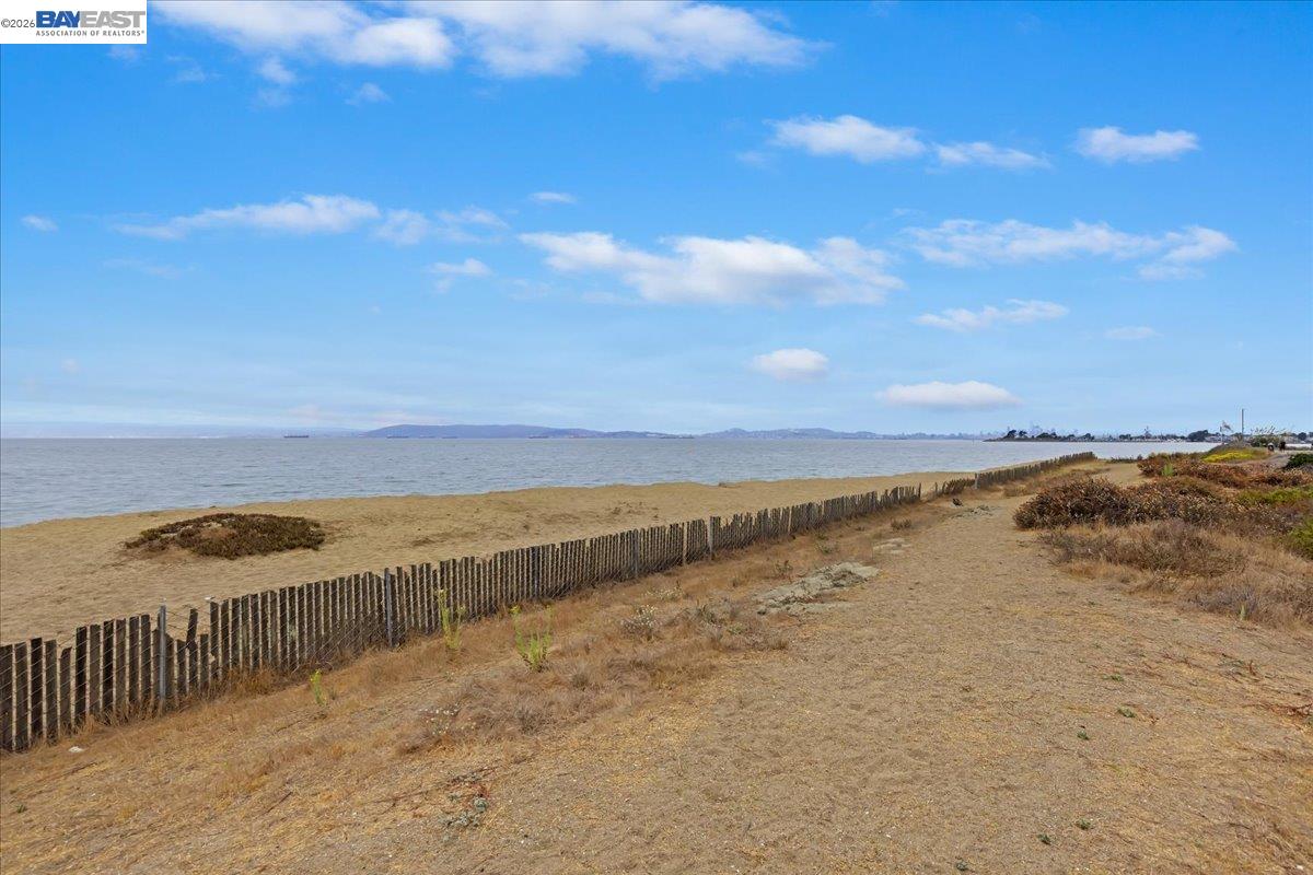 Photo #14: 41125535 Listing: Photo #14