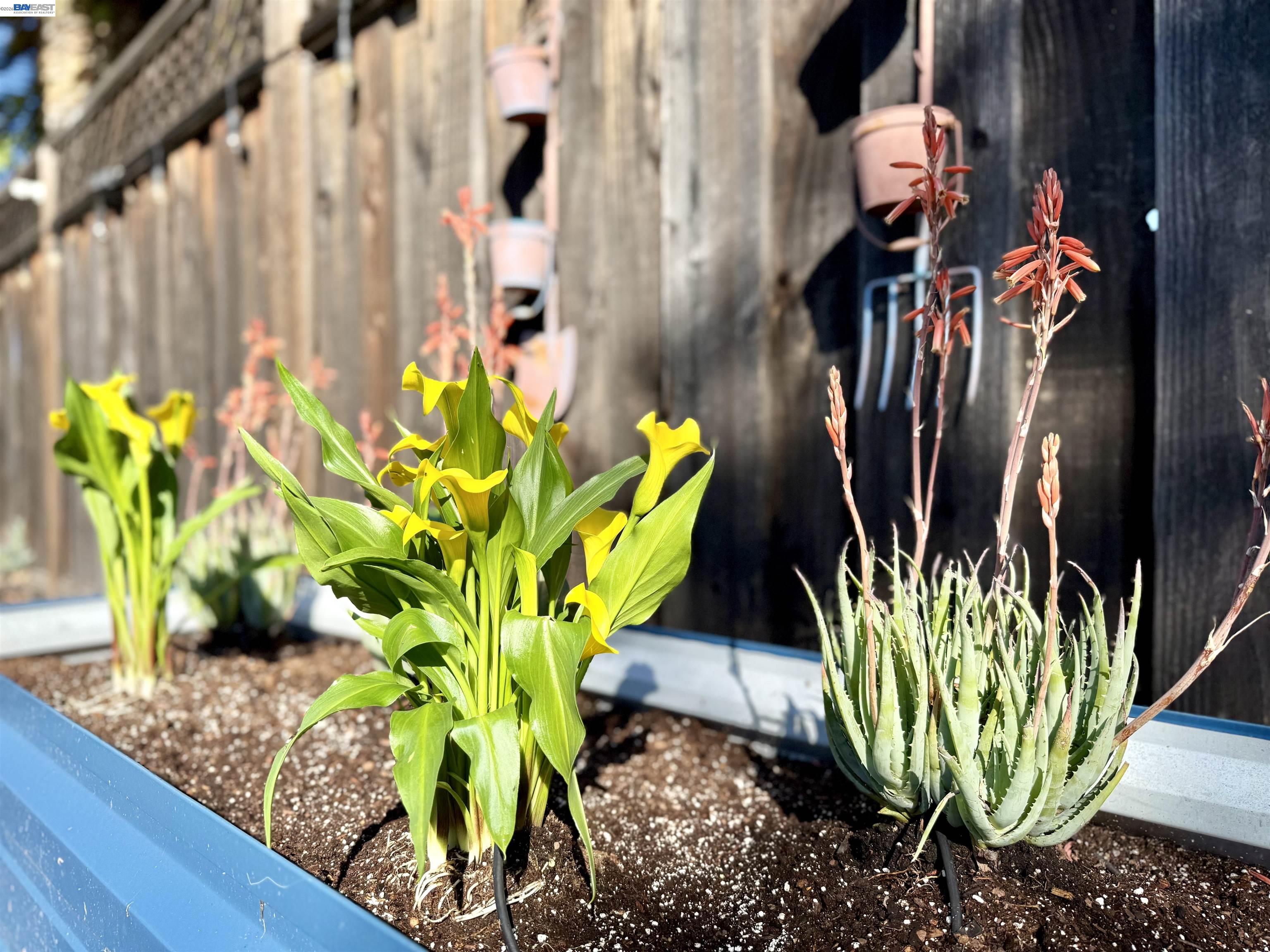 Detail Gallery Image 60 of 60 For 1500 Arroyo Rd, Livermore,  CA 94550 - 4 Beds | 3 Baths