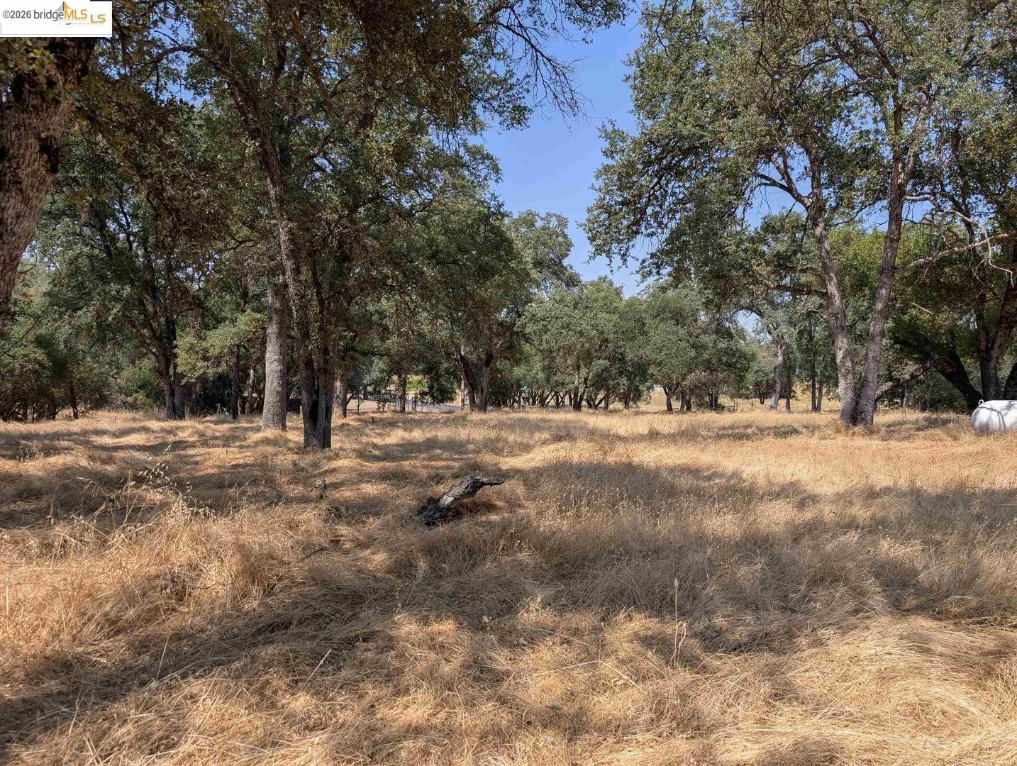 Detail Gallery Image 11 of 24 For 18340 Henry D Ct, Sonora,  CA 95370 - – Beds | – Baths