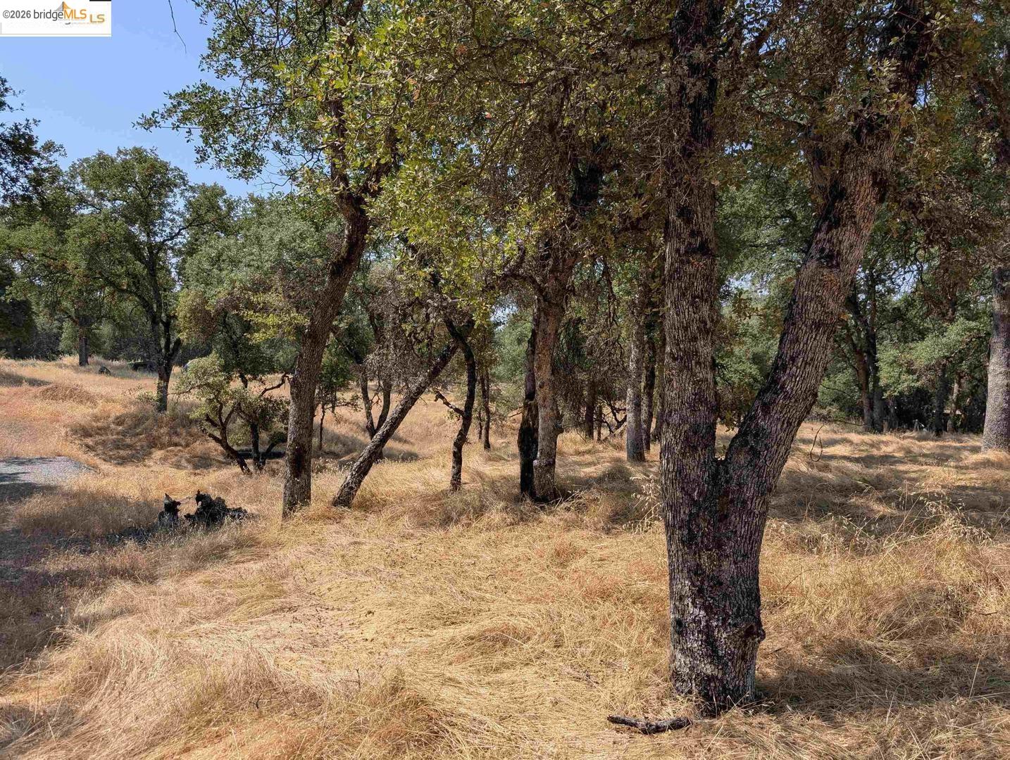 Detail Gallery Image 12 of 24 For 18340 Henry D Ct, Sonora,  CA 95370 - – Beds | – Baths