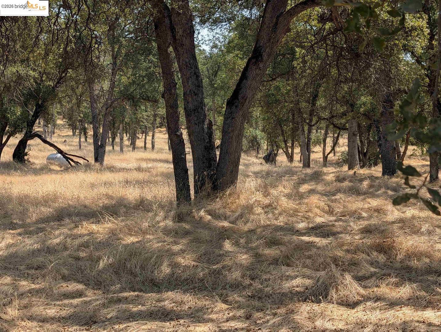 Detail Gallery Image 13 of 24 For 18340 Henry D Ct, Sonora,  CA 95370 - – Beds | – Baths