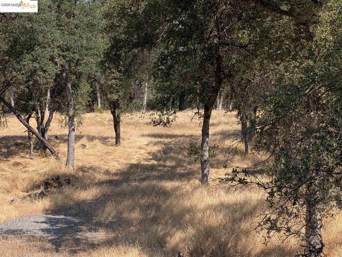 Detail Gallery Image 14 of 24 For 18340 Henry D Ct, Sonora,  CA 95370 - – Beds | – Baths