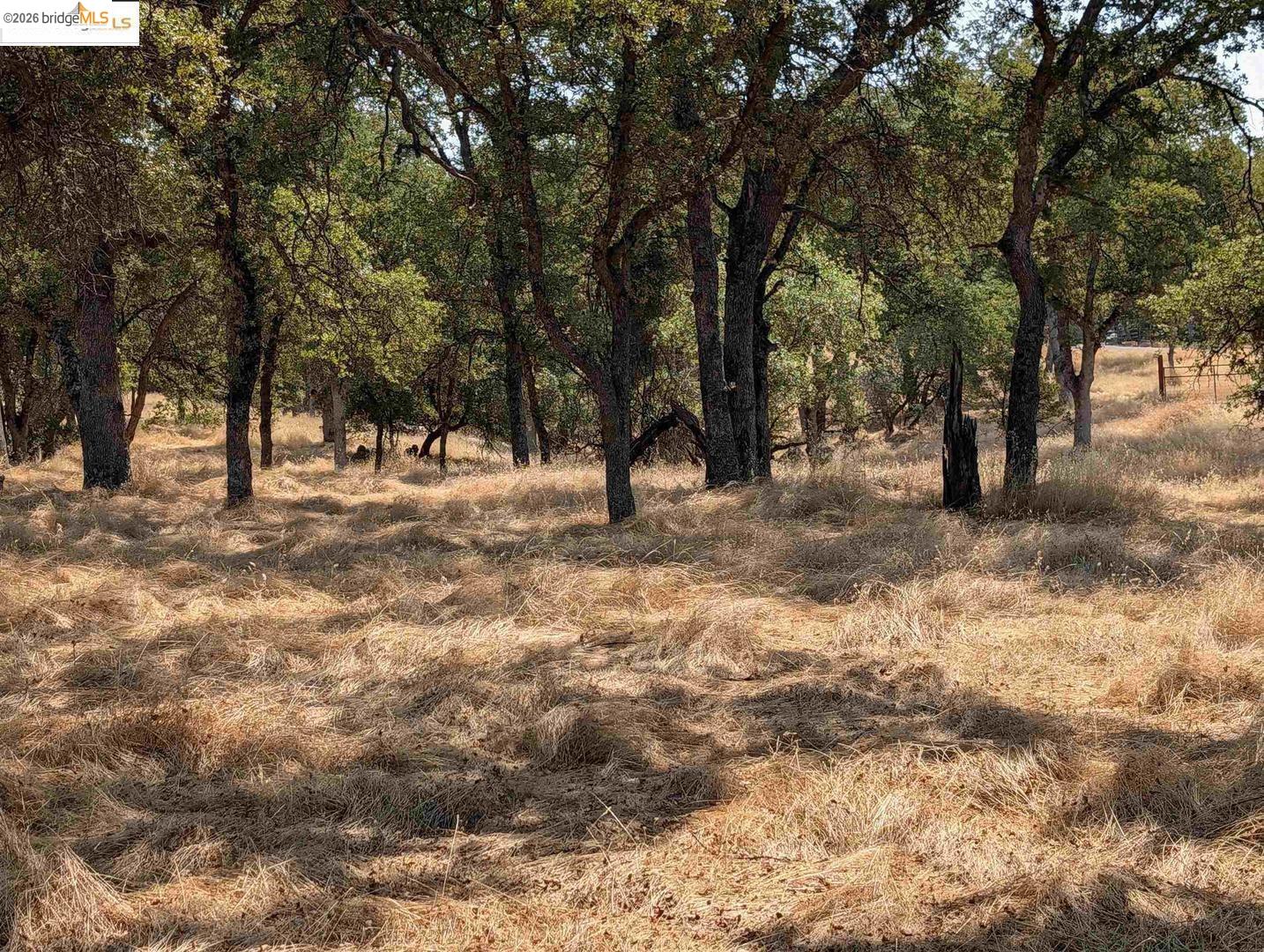 Detail Gallery Image 15 of 24 For 18340 Henry D Ct, Sonora,  CA 95370 - – Beds | – Baths