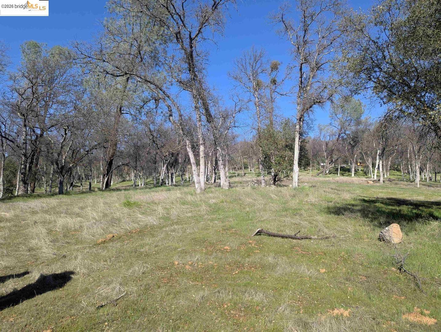 Detail Gallery Image 3 of 24 For 18340 Henry D Ct, Sonora,  CA 95370 - – Beds | – Baths